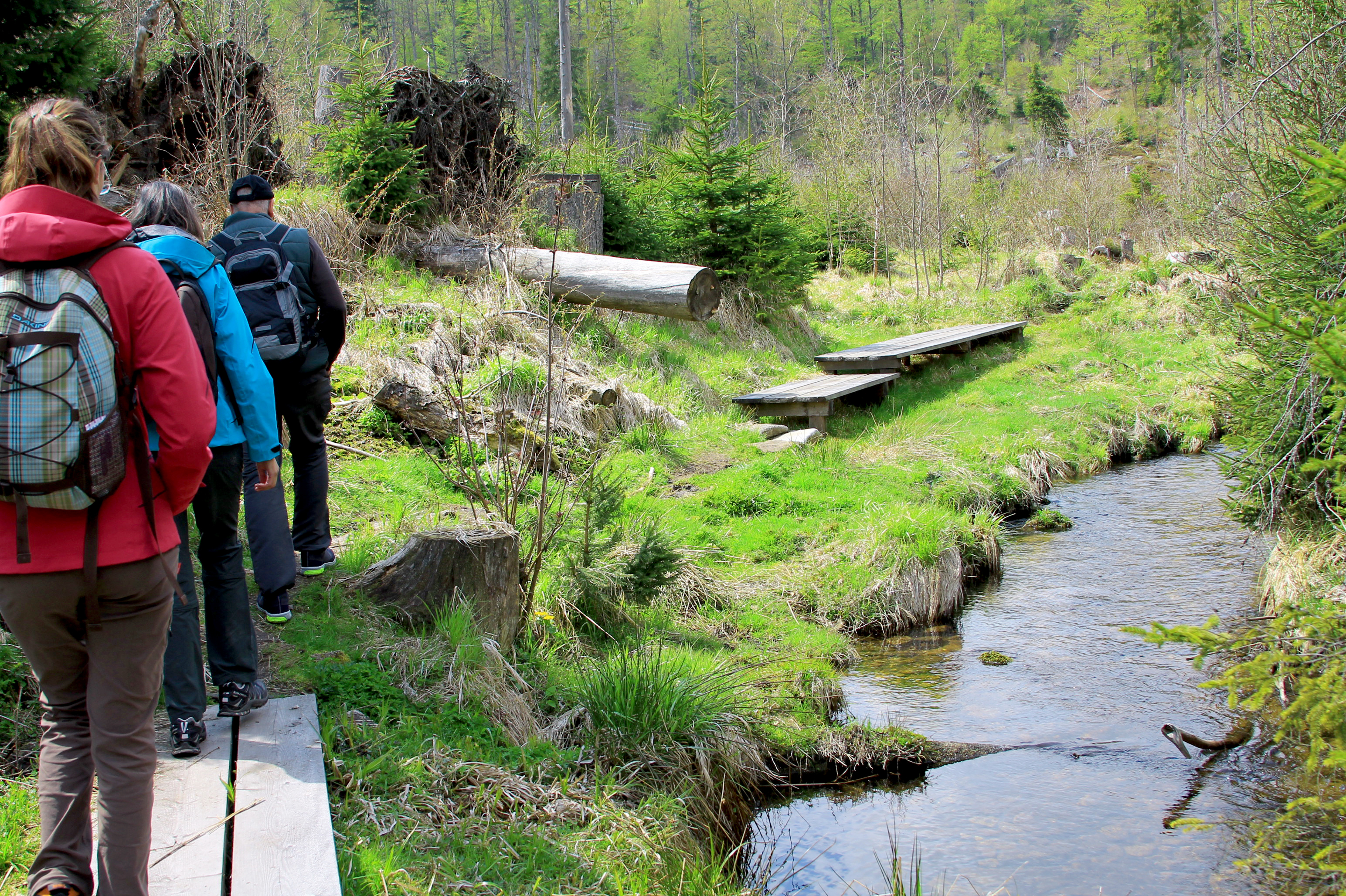 Entlang des Steinbachs wandern
