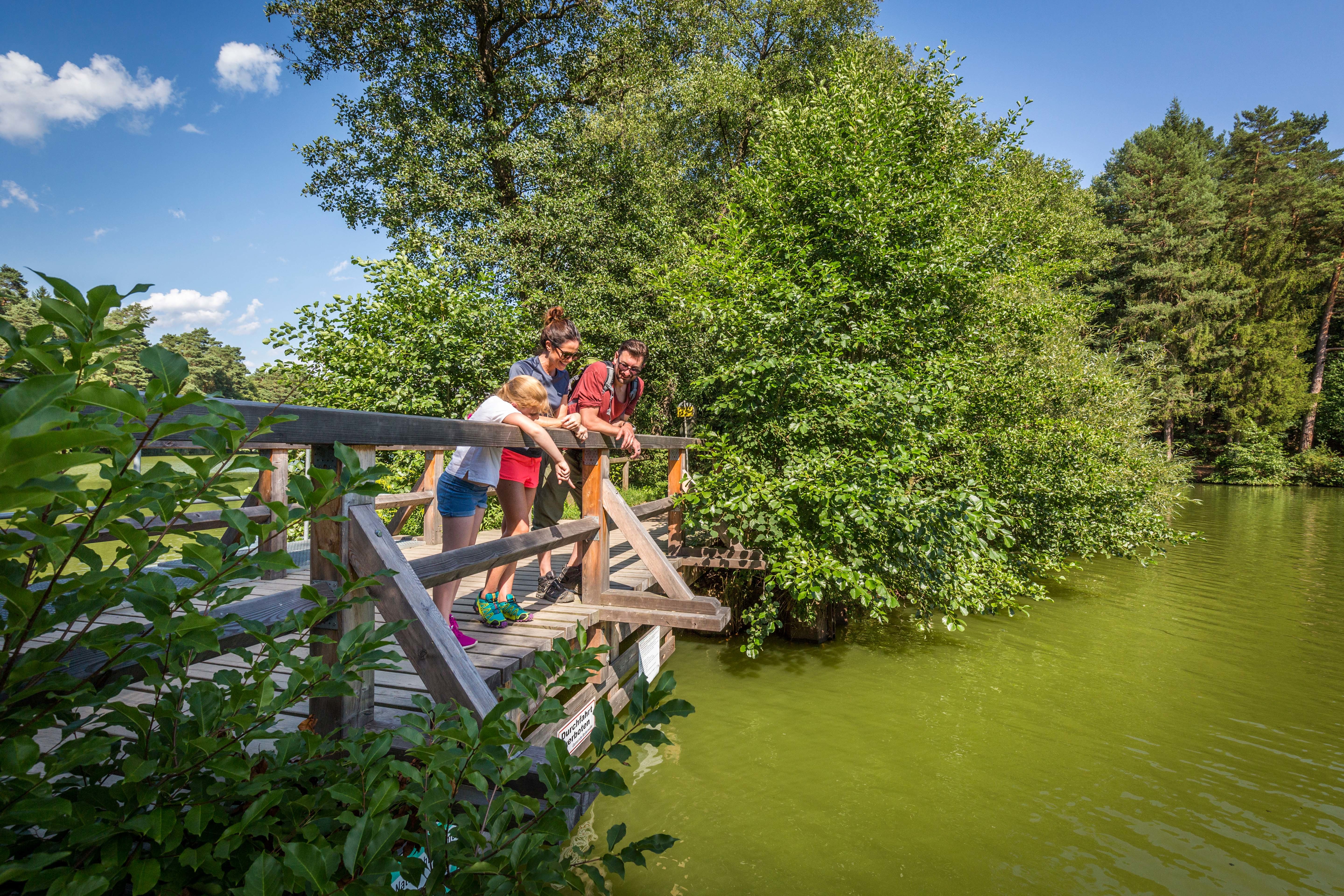 Durchs Naturschutzgebiet Oberpfälzer Wald Ihr Urlaub in Bayern