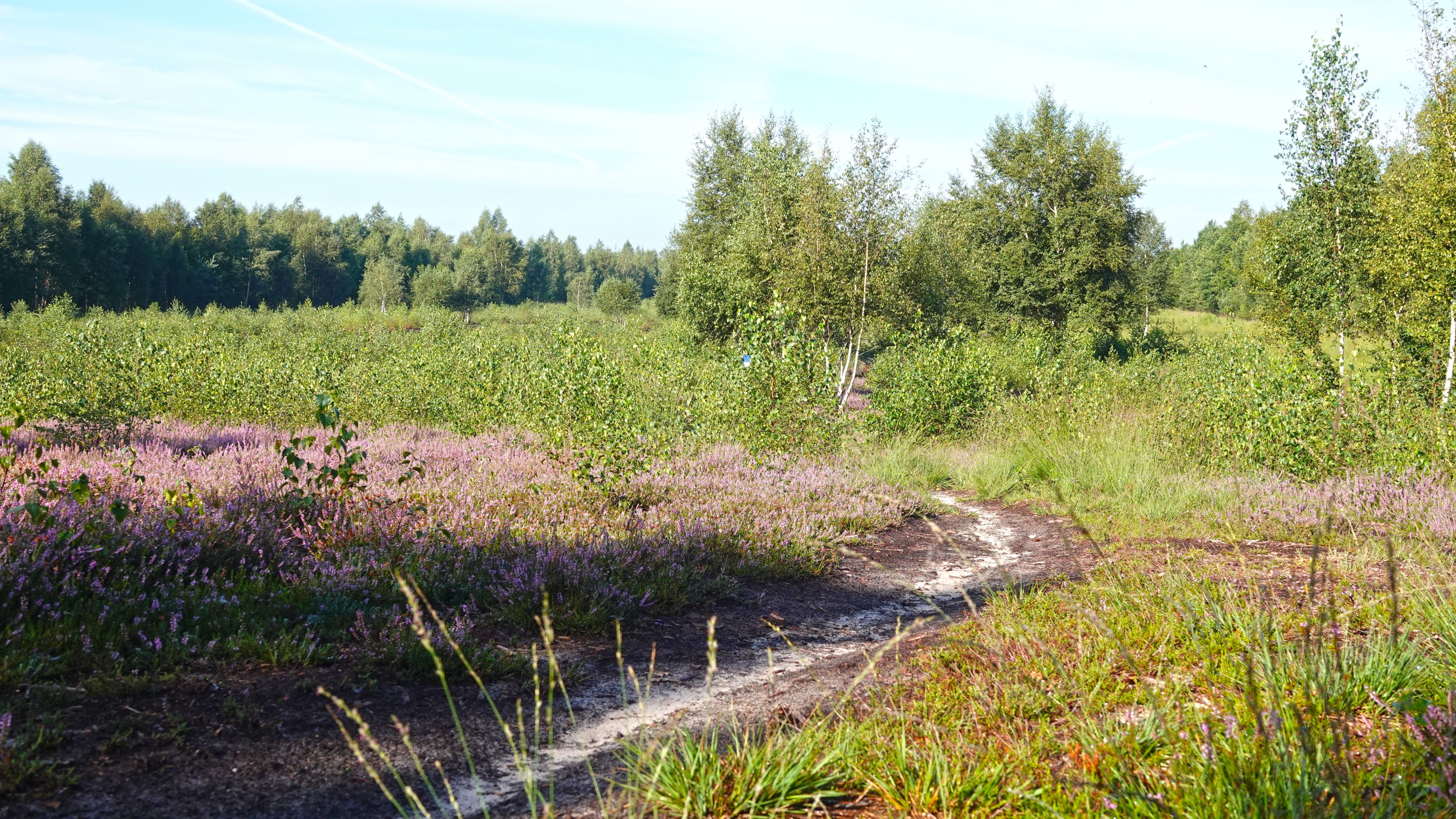 Meksika tatilida jinsiy aloqani tomosha qiling