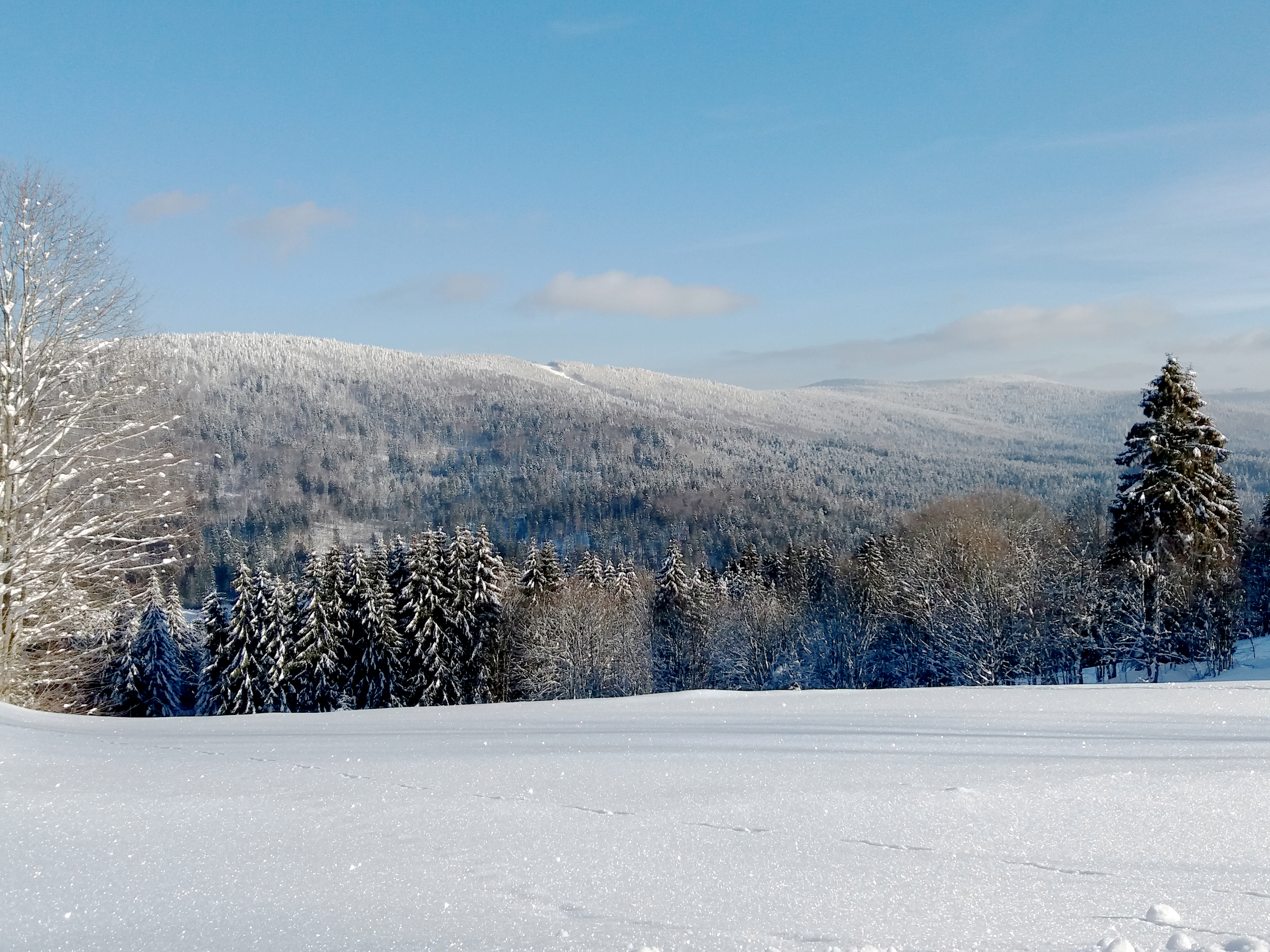 Winterlandschaft