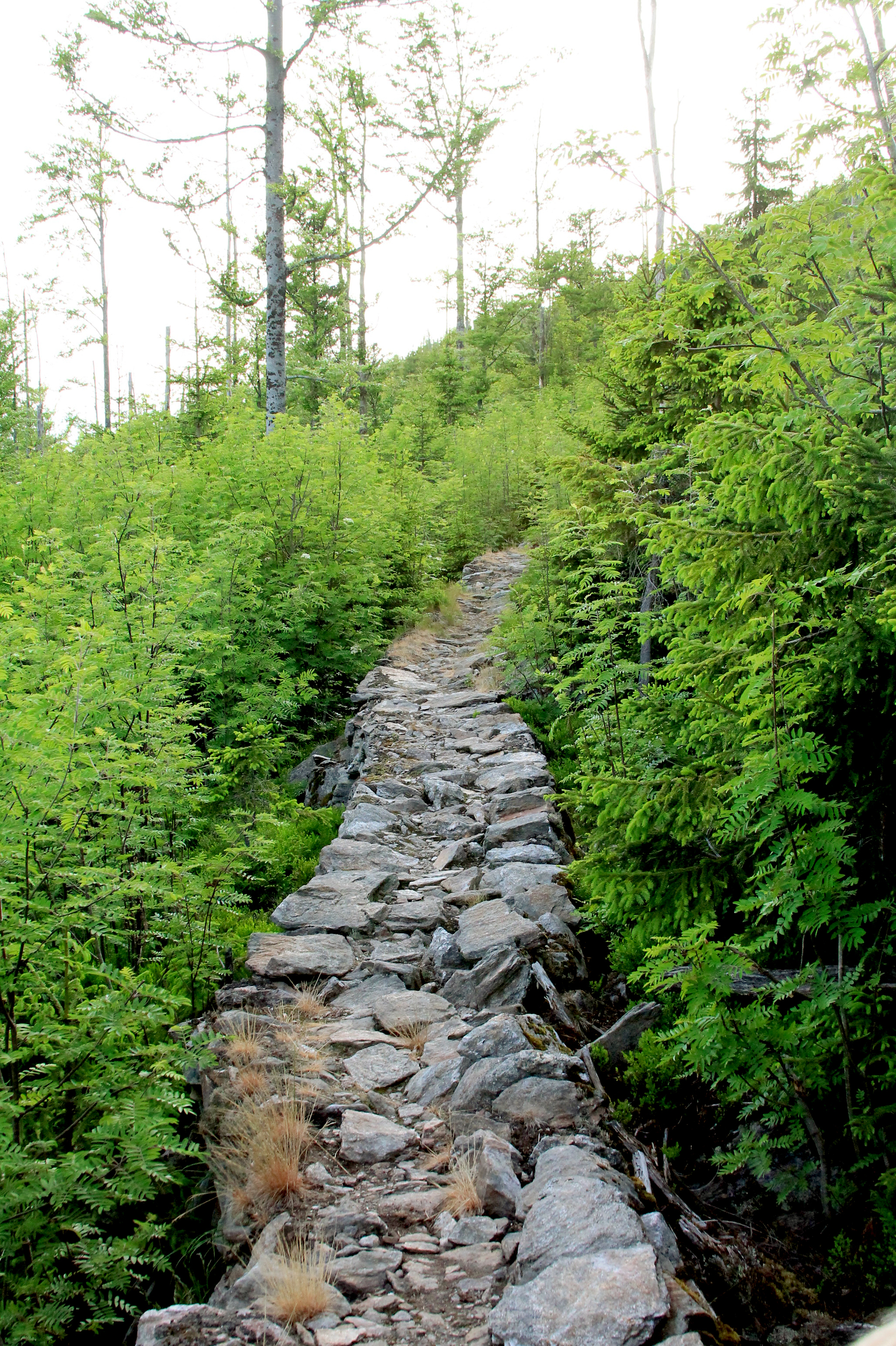 Gemauerter Steig aus Felssteinen