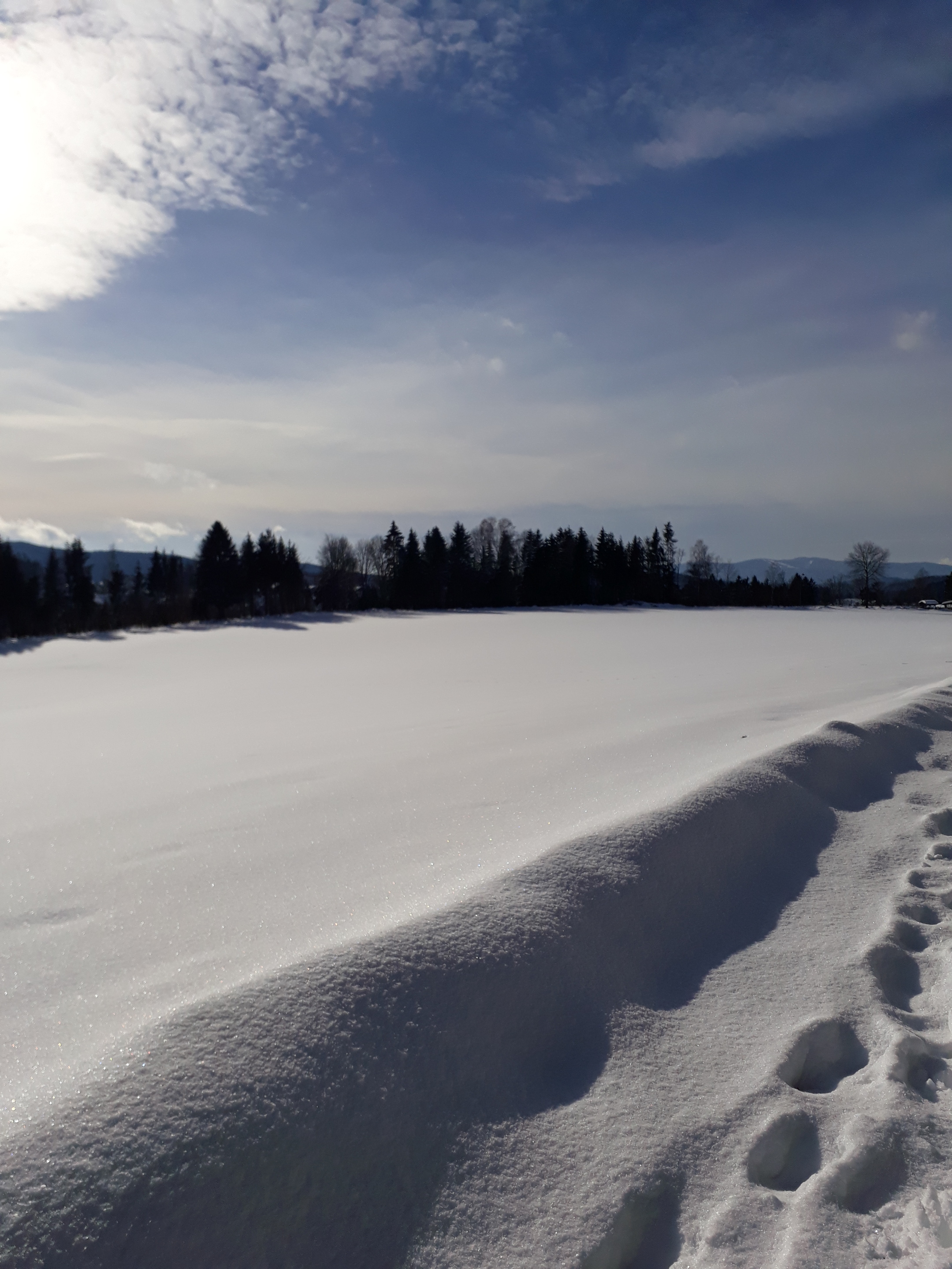 Zwiesel_Winter_Karin Fuchs_CCBYSA (9).jpg